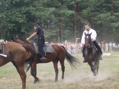 Photographs sent in by Ewa Lenarczyk of Gdańsk