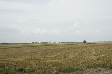 Zdjęcie 83 z albumu Galeria 2 — Jasionka w dniu zjazdu