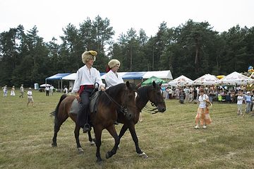 Zdjęcie 90 z albumu Galeria 2 — Jasionka w dniu zjazdu