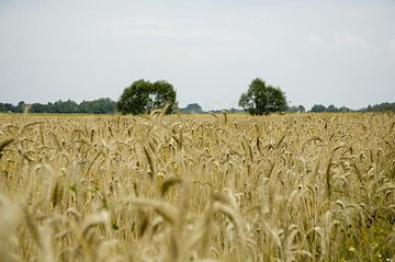 Zdjęcie 3 z albumu Galeria 2 — Jasionka w dniu zjazdu