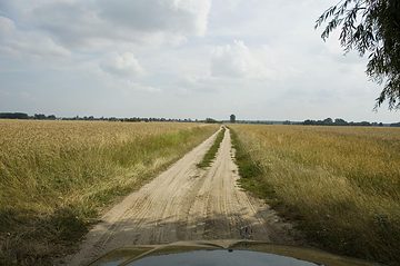 Zdjęcie 217 z albumu Galeria 2 — Jasionka w dniu zjazdu
