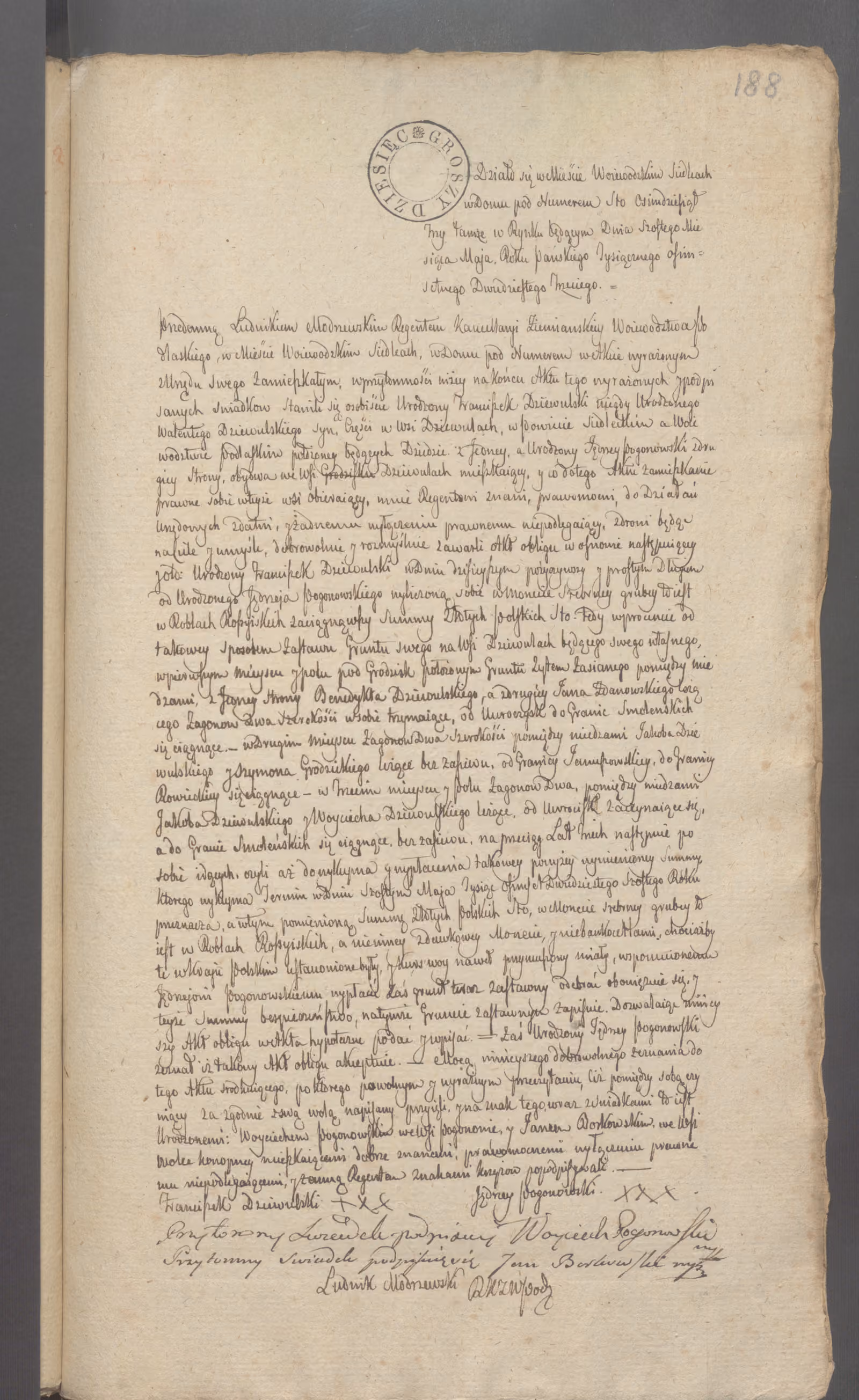 Modrzewski 84/1823, s. 1