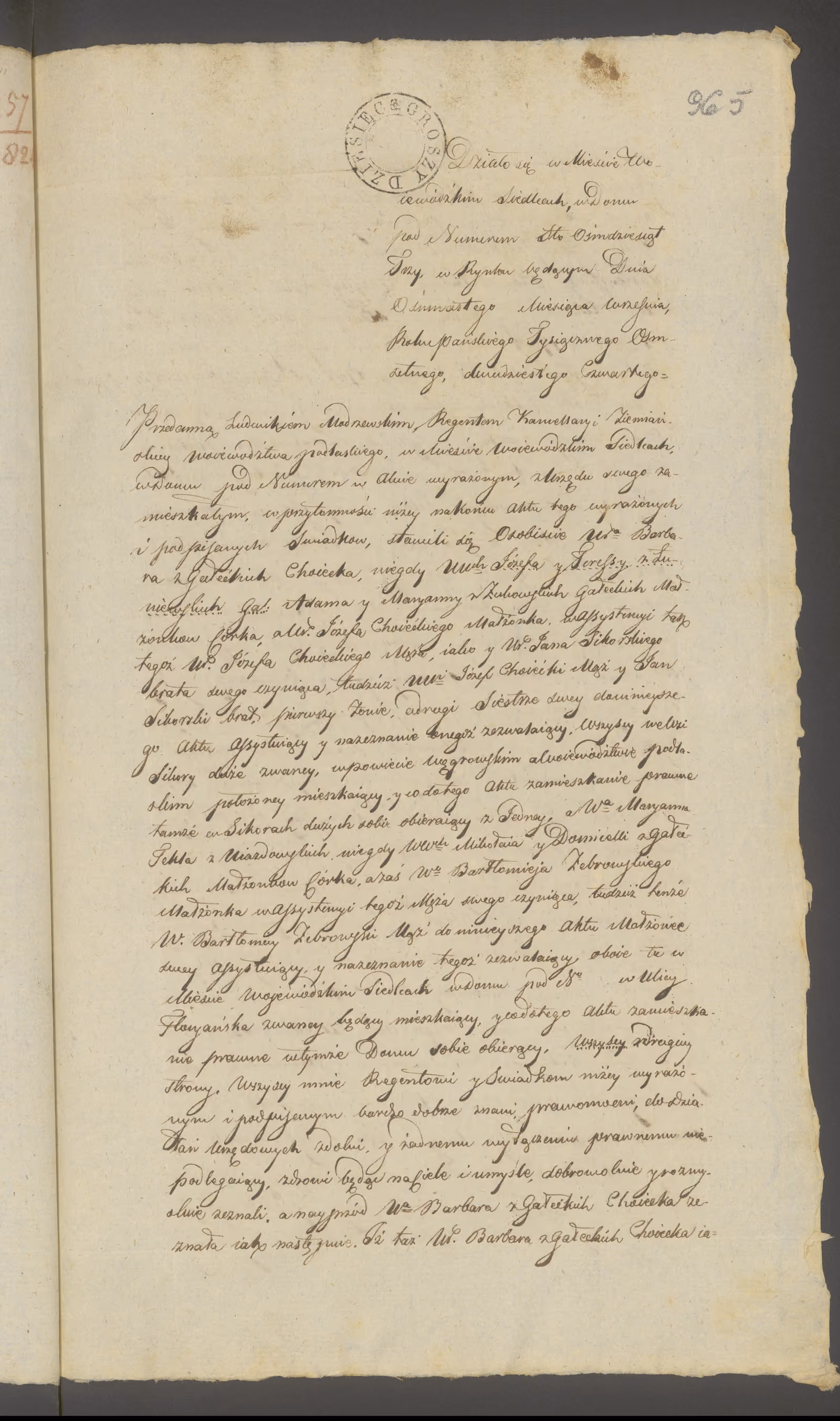 Modrzewski 259/1824, s. 1