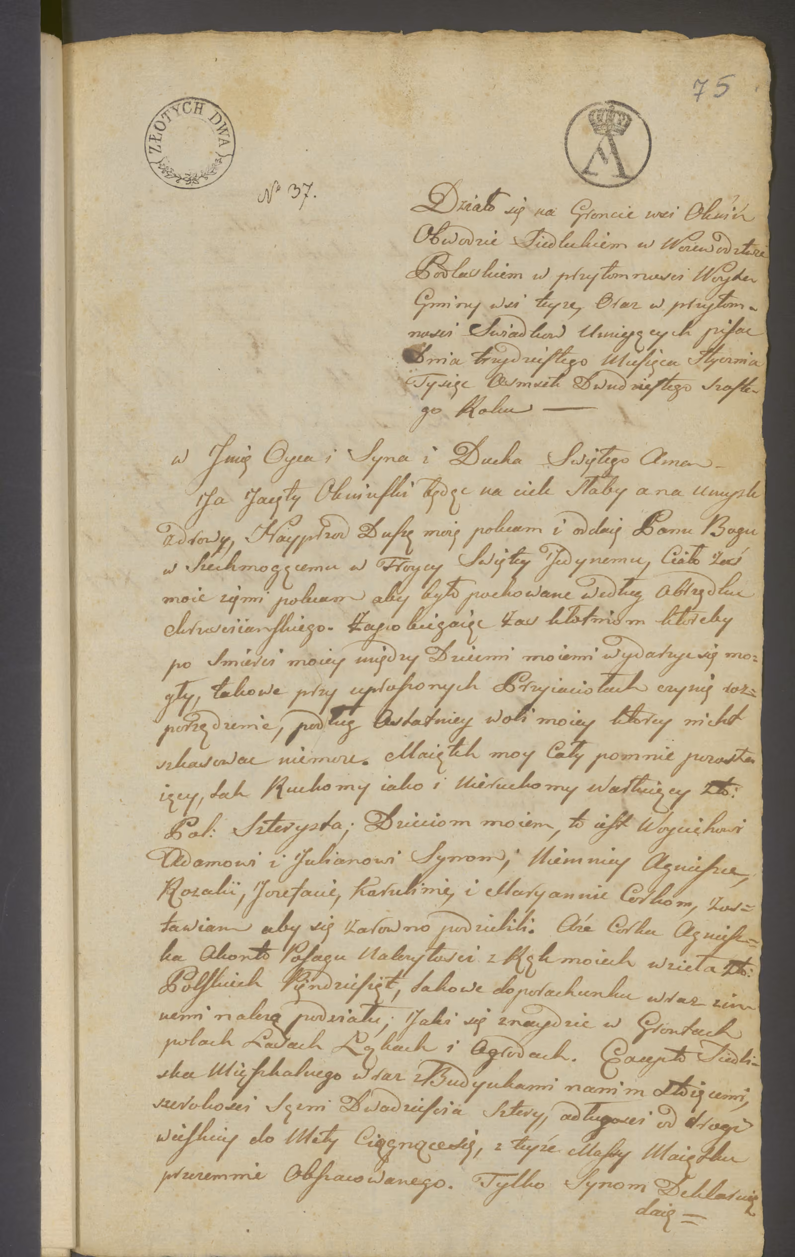 Modrzewski 37/1826, s. 1