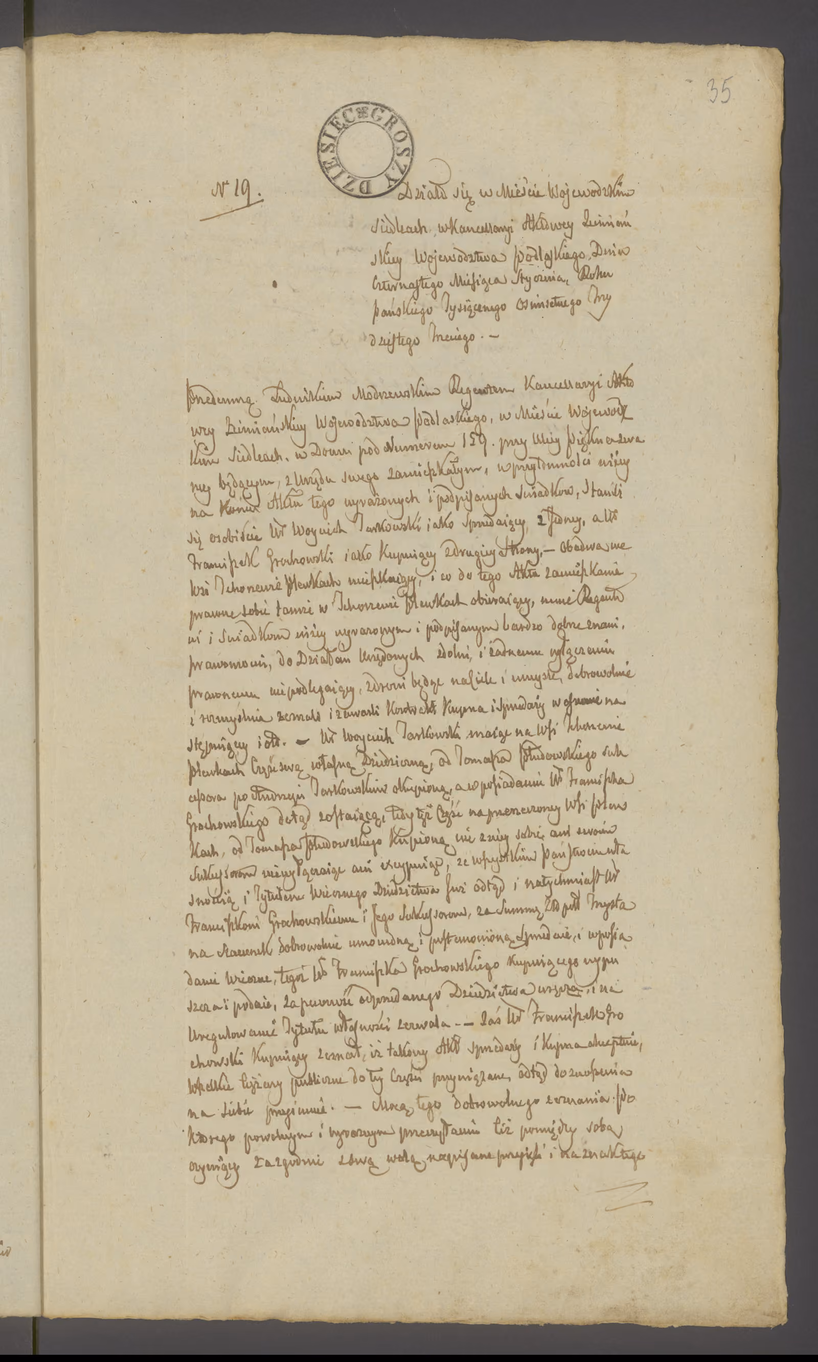 Modrzewski 19/1833, s. 1