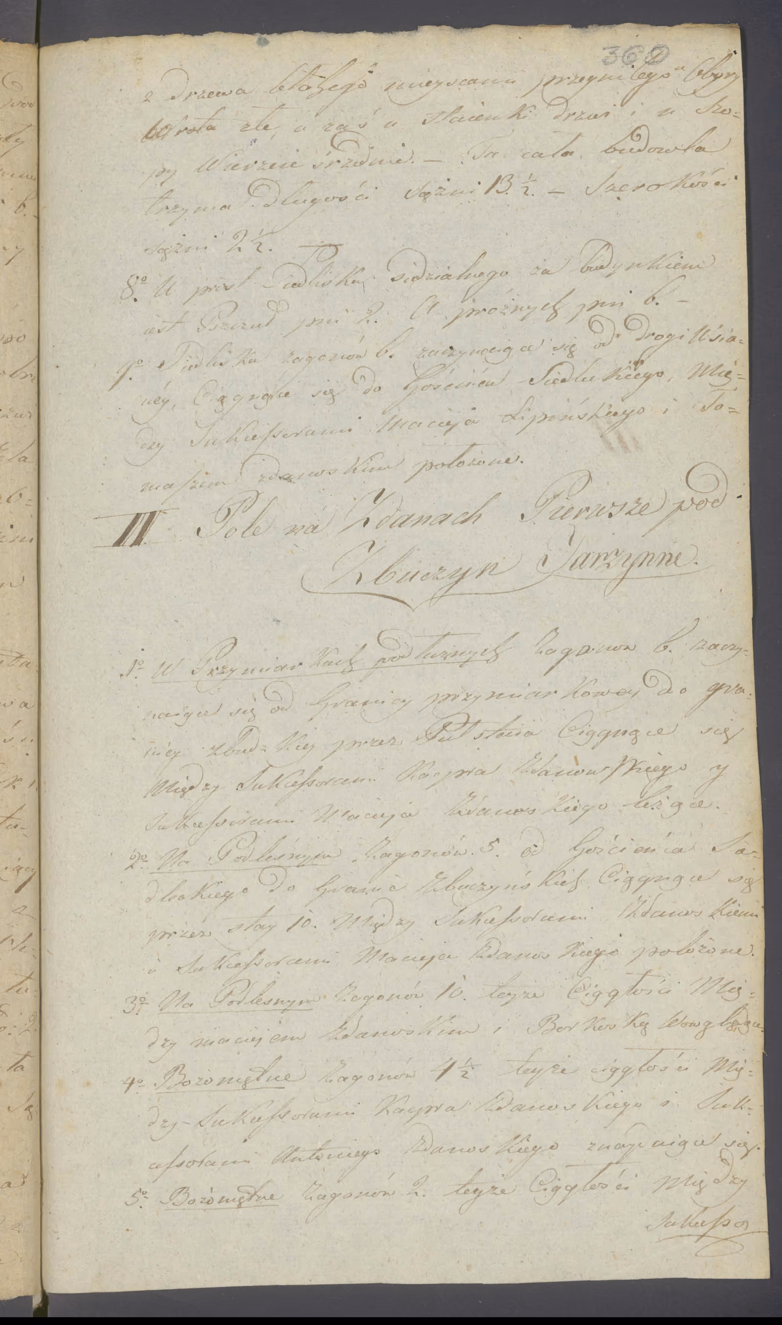 Witkowski 250/1816, s. 2