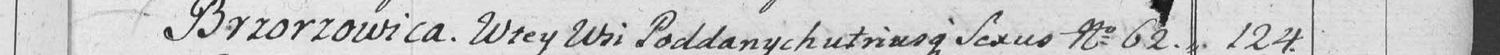 This passage in the manuscript: Brzozowica