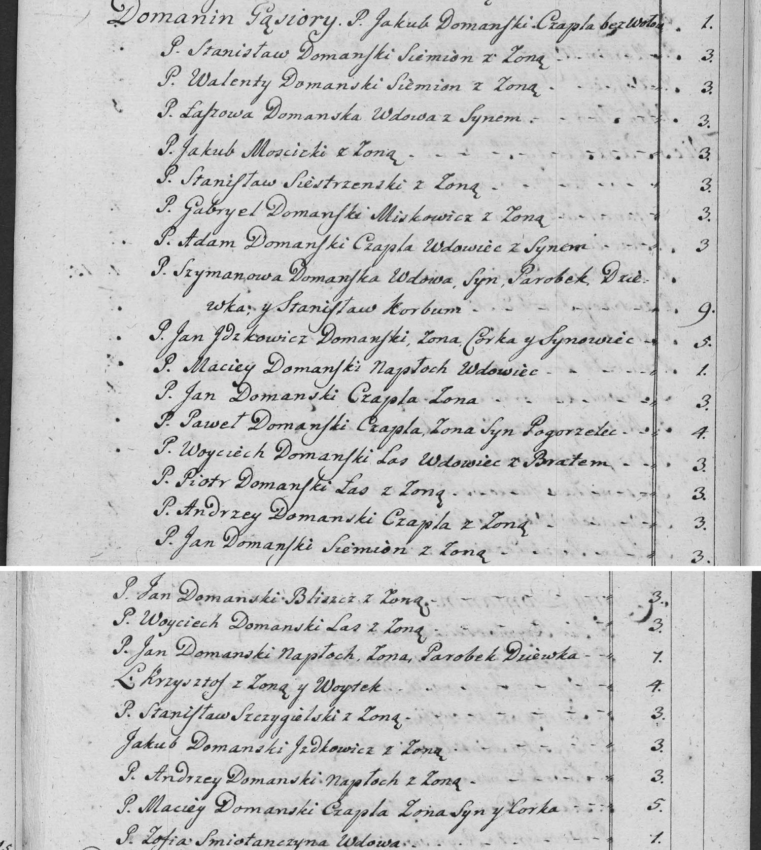 This passage in the manuscript: Domanin Gąsiory