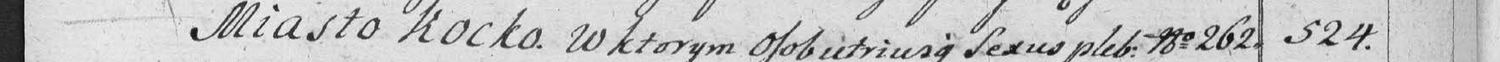 This passage in the manuscript: Miasto Kocko