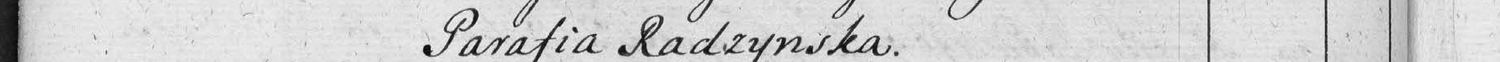 This passage in the manuscript: Parafia Radzynska