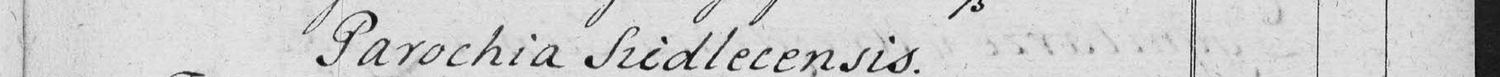 This passage in the manuscript: Parochia Siedlecensis
