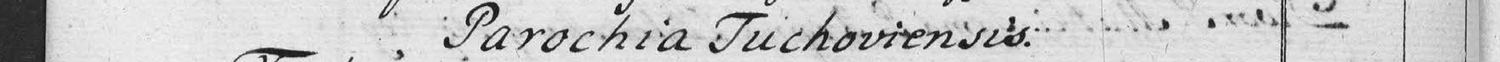 This passage in the manuscript: Parochia Tuchoviensis