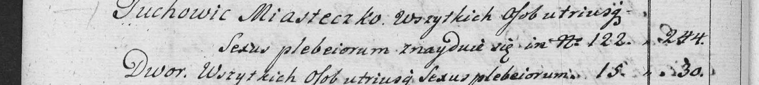 This passage in the manuscript: Tuchowic Miasteczko