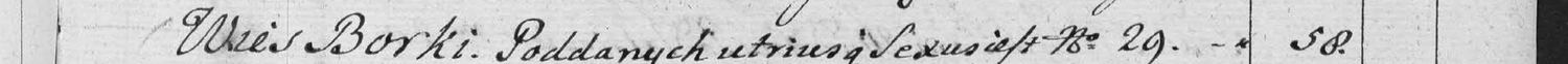 This passage in the manuscript: Wies Borki