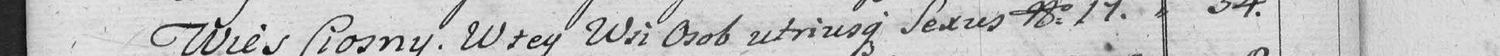 This passage in the manuscript: Wies Ciosny