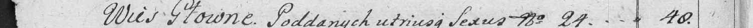 This passage in the manuscript: Wies Głowne