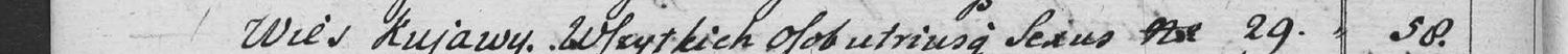 This passage in the manuscript: Wies Kujawy
