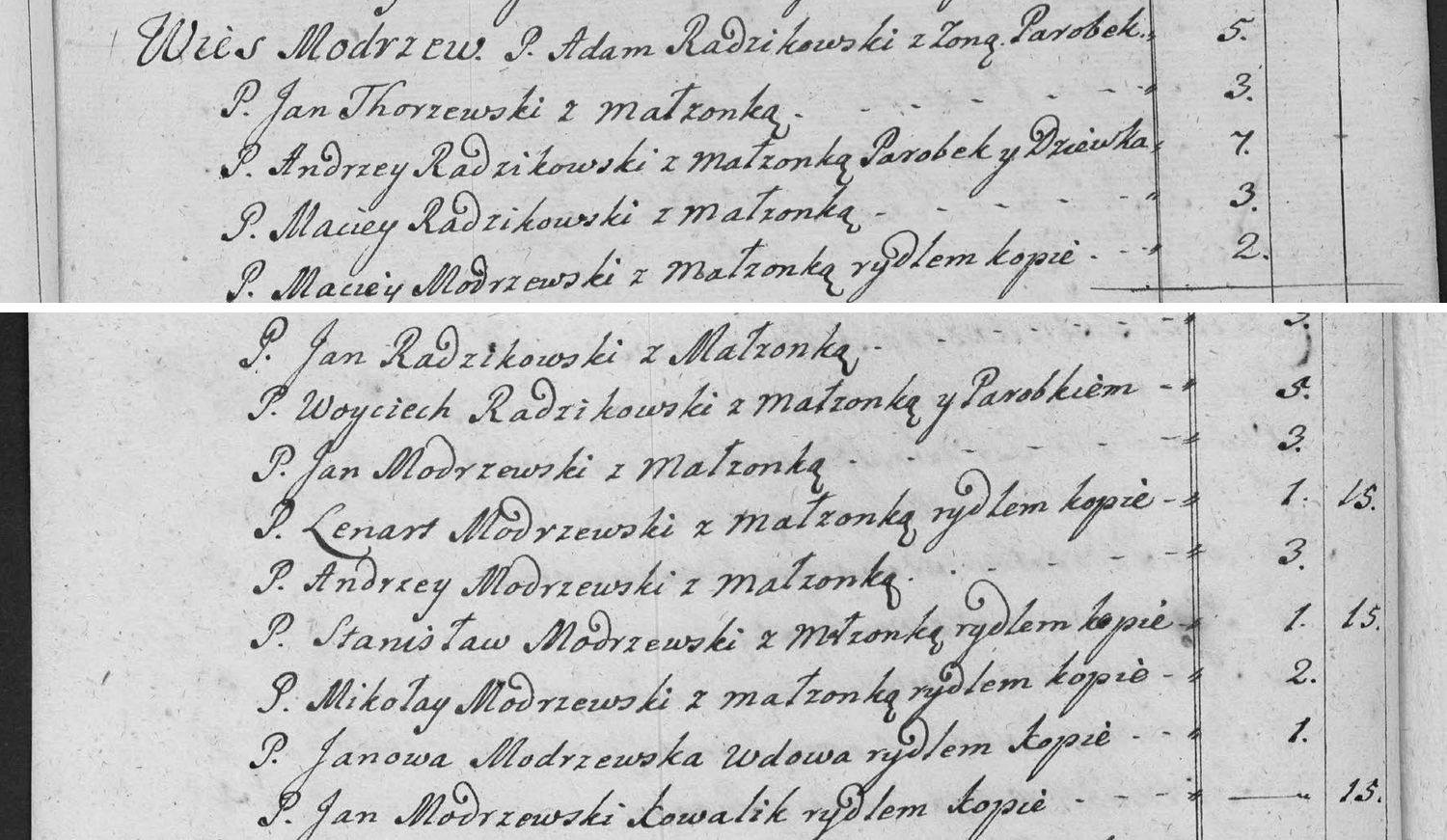 This passage in the manuscript: Wies Modrzew