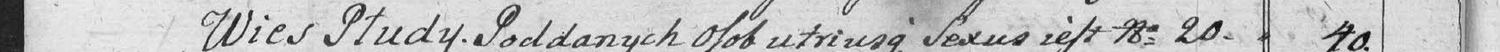 This passage in the manuscript: Wies Płudy