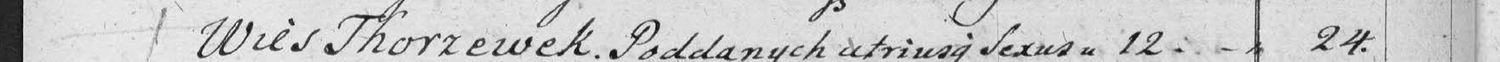 This passage in the manuscript: Wies Thorzewek