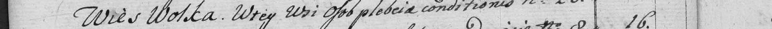 This passage in the manuscript: Wies Wolka