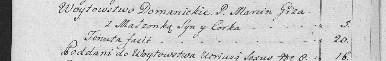 This passage in the manuscript: Woytowstwo Domanickie