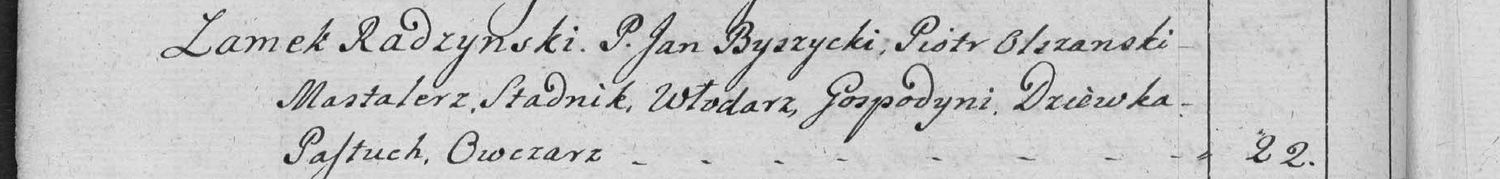 This passage in the manuscript: Zamek Radzynski